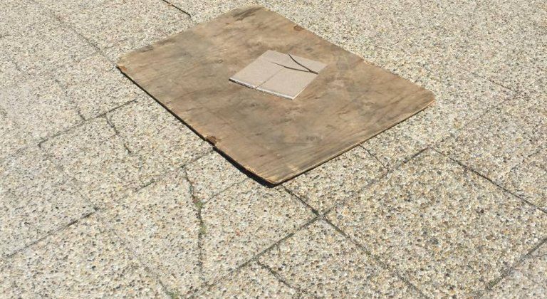 13646853_10206905592139814_713807737_o