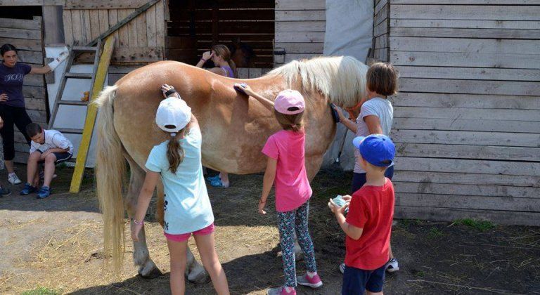 13871779_1142580679135040_1583332011_n