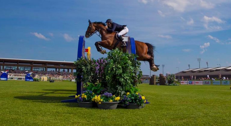 14117705_1719190771674573_8290993077404111929_n