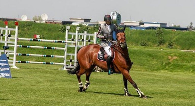 30917362_951580715020117_2116571555_o