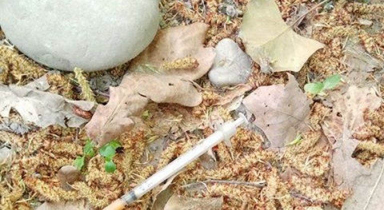 31749569_1880779121941879_529562303591350272_n 31749569_1880779121941879_529562303591350272_n