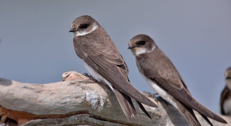 32287824_2125609784121883_9062450585915097088_o