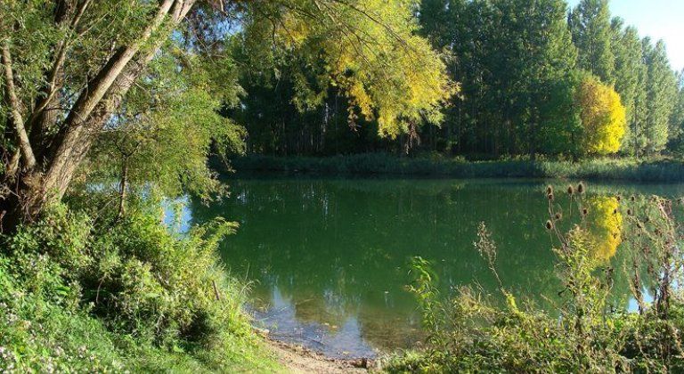 bratislavsky_dunajsky_park