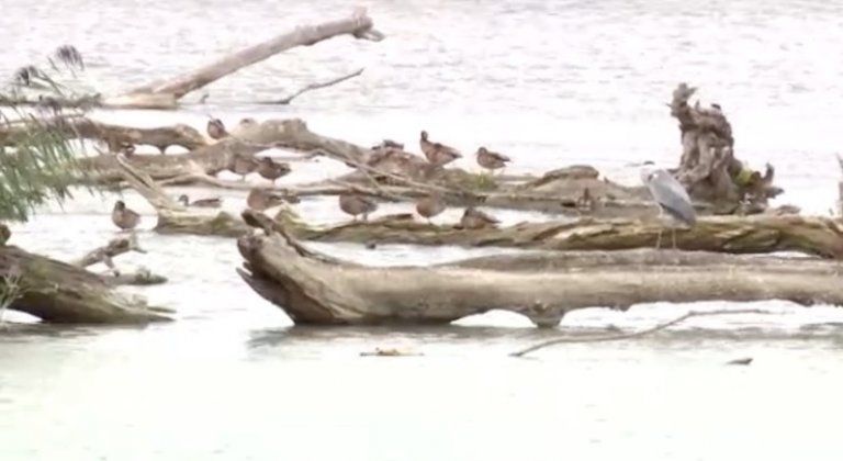 Screenshot 2019-08-24 at 15.13.43