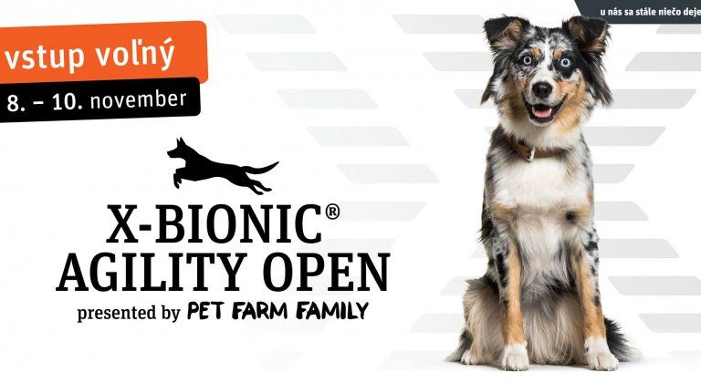 72337498_480048275923794_7536109145531875328_o