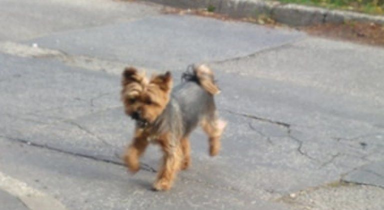 72426714_2547775395260825_3272953465407537152_n