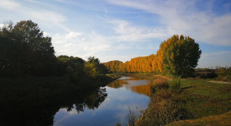 72473333_466917860587144_6136689009562222592_n