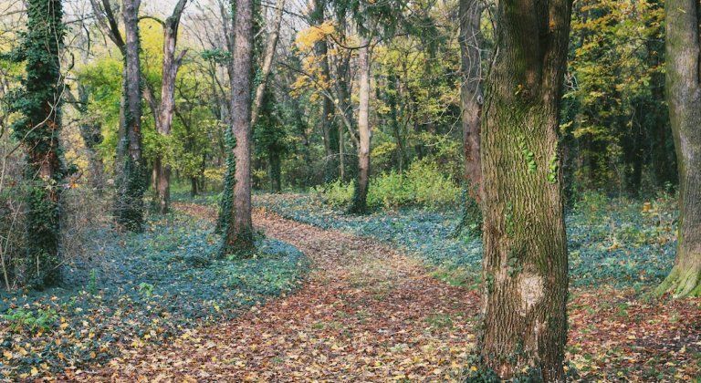 INCOLLAGE_20191111_183137211