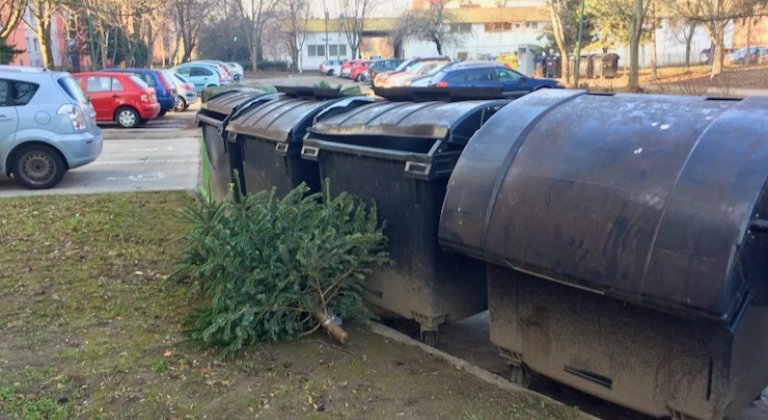 Vianočné stromčeky treba odkladať k smetným kontajnerom