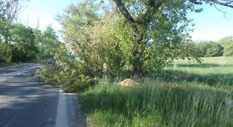 Šamorínski hasiči odstraňovali polámané stromy