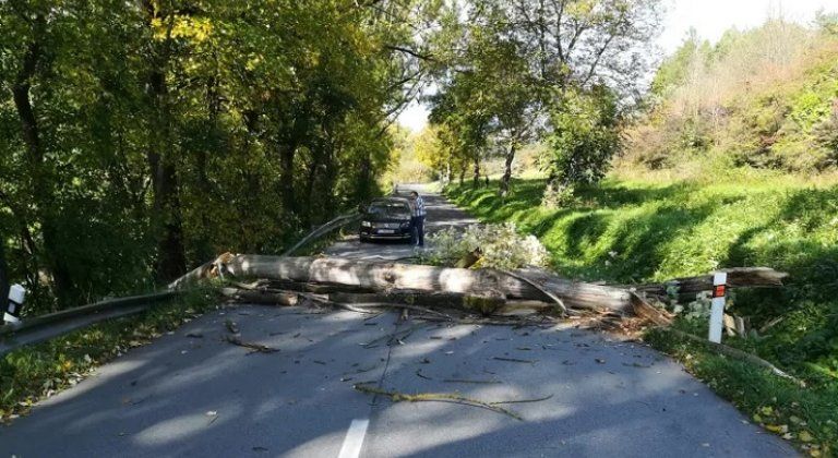 A tüzoltók segítségére is szükség volt a vihar okozta károk elhárításánál A tüzoltók segítségére is szükség volt a vihar okozta károk elhárításánál