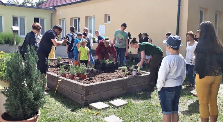 Projekt MOSONHERB bol úspešne ukončený