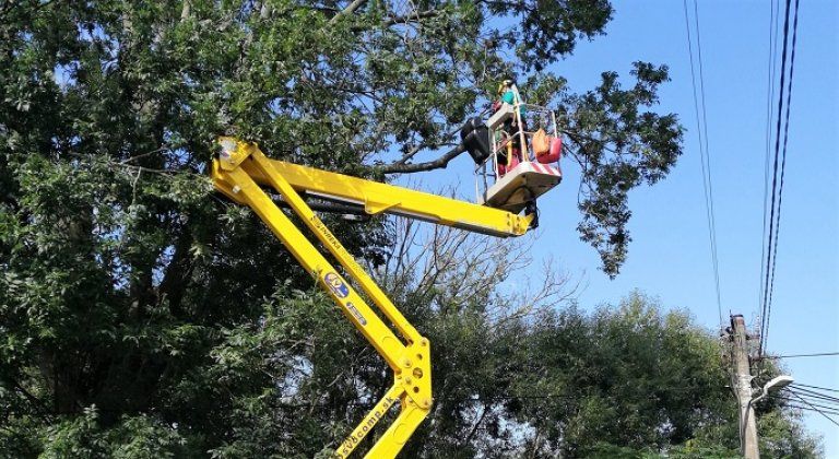 Výzva na orezanie stromov zasahujúcich do elektrického vedenia