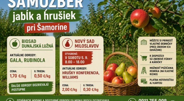 Samozber pokračuje: v Dunajskej Lužnej dozrieva Gala a Rubinola, nový sad v Miloslavove otvorí v sobotu