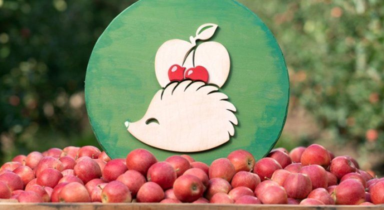 Samozber jabĺk pri Šamoríne pokračuje. V Dunajskej Lužnej a Miloslavove majú otvorené aj cez víkend Samozber jabĺk pri Šamoríne pokračuje. V Dunajskej Lužnej a Miloslavove majú otvorené aj cez víkend