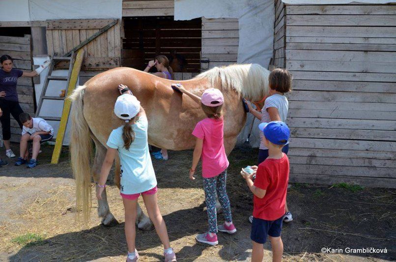 13871779_1142580679135040_1583332011_n