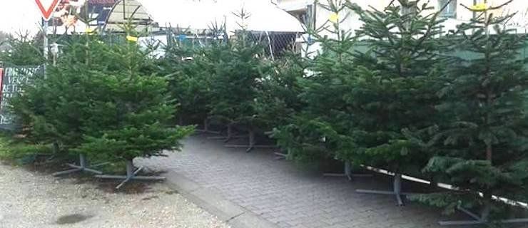 Veľká vianočná súťaž: Vyhrajte vianočný stromček!