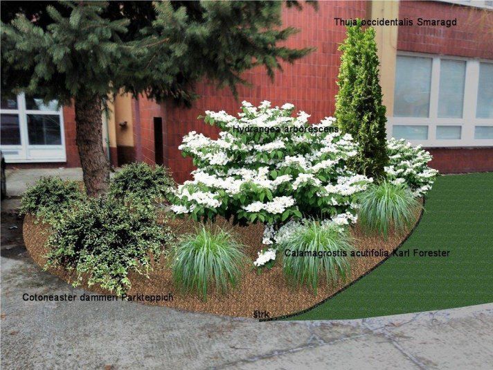 17389058_1230189670363602_5651587357205952804_o