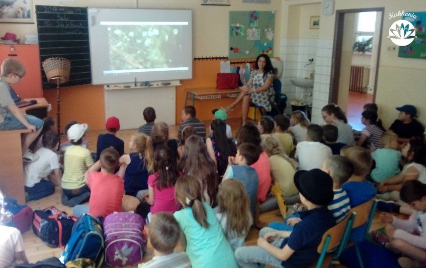 KUKKONIA TEJUT 2017 -6 KUKKONIA TEJUT 2017 -6