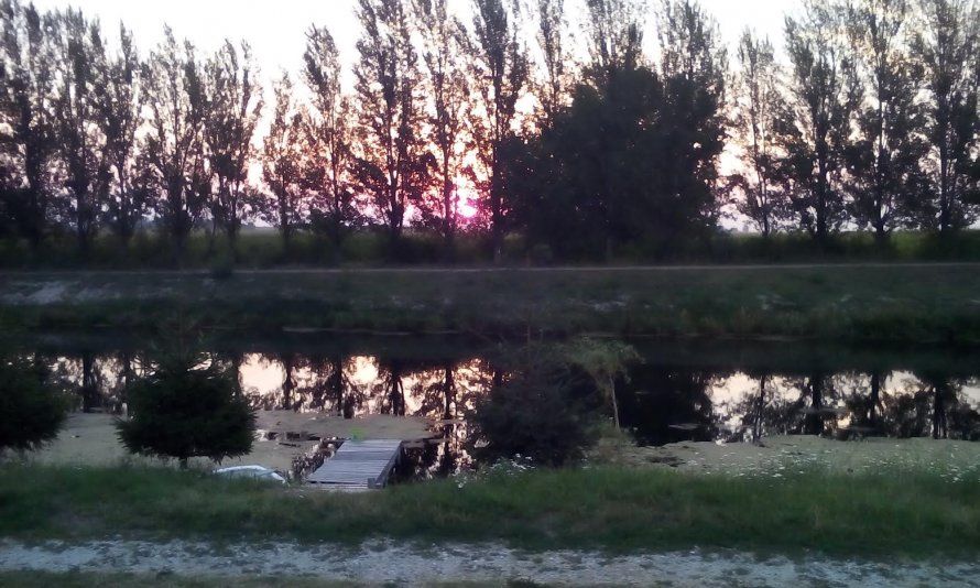 Foto čitateľky: Ráno v Čilistove pred horúcim dňom
