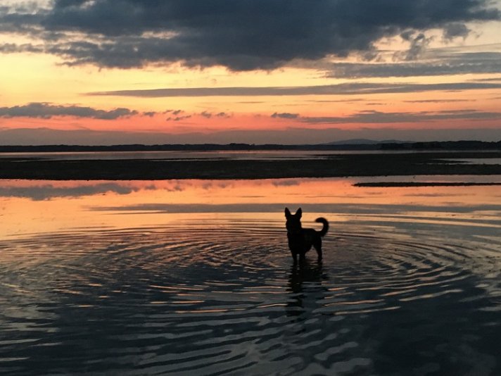 Foto čitateľky: západ slnka v Hamuliakove