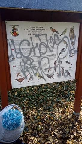 Vandálok garázdálkodtak a Pomléban