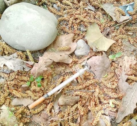 31749569_1880779121941879_529562303591350272_n