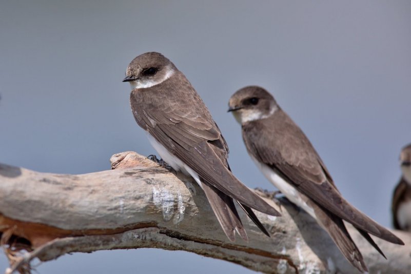 32287824_2125609784121883_9062450585915097088_o 32287824_2125609784121883_9062450585915097088_o