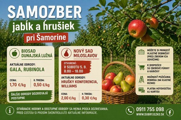 Samozber pokračuje: v Dunajskej Lužnej dozrieva Gala a Rubinola, nový sad v Miloslavove otvorí v sobotu Samozber pokračuje: v Dunajskej Lužnej dozrieva Gala a Rubinola, nový sad v Miloslavove otvorí v sobotu