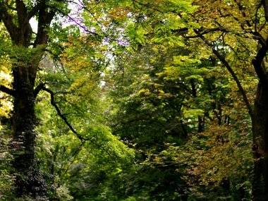 Fényképek Csehországból: Somorja az én szemszögemből Fényképek Csehországból: Somorja az én szemszögemből