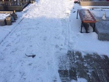 Tip čitateľa: Ľudia sa sťažujú na zľadovatené chodníky Tip čitateľa: Ľudia sa sťažujú na zľadovatené chodníky