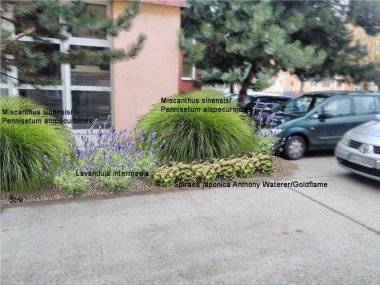 Brigáda na obnovu areálu ZŠ Mateja Bela