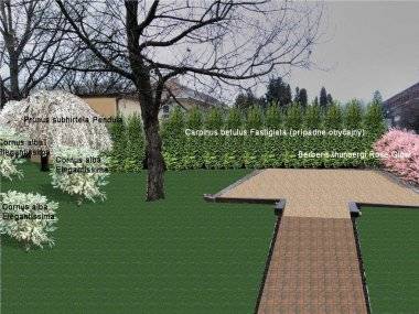 Brigáda na obnovu areálu ZŠ Mateja Bela