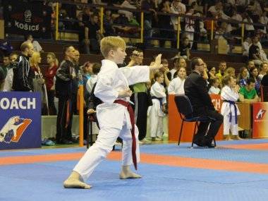 Úspešný záver súťažnej sezóny Karate klubu Budokan Samaria