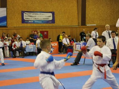 Úspešný záver súťažnej sezóny Karate klubu Budokan Samaria