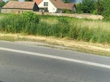 Práve teraz: Rozsiahly požiar v Dunajskej Lužnej