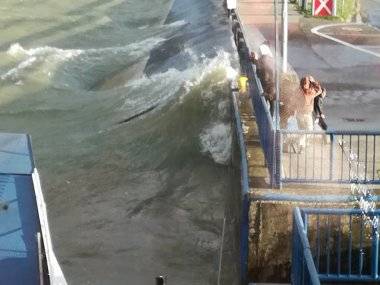 Tip čitateľa: Takto sa víchrica oprela o Dunaj Tip čitateľa: Takto sa víchrica oprela o Dunaj