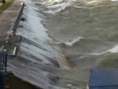 Tip čitateľa: Takto sa víchrica oprela o Dunaj Tip čitateľa: Takto sa víchrica oprela o Dunaj