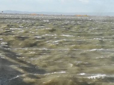 Tip čitateľa: Takto sa víchrica oprela o Dunaj Tip čitateľa: Takto sa víchrica oprela o Dunaj