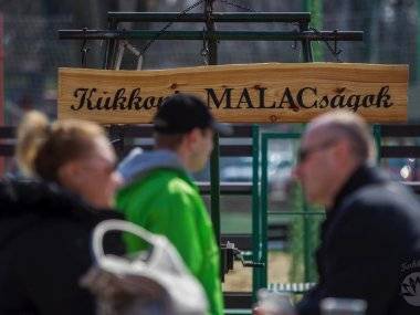 Foto: Úžasné jedlá, gurmánske špeciality a výborná atmosféra Foto: Úžasné jedlá, gurmánske špeciality a výborná atmosféra