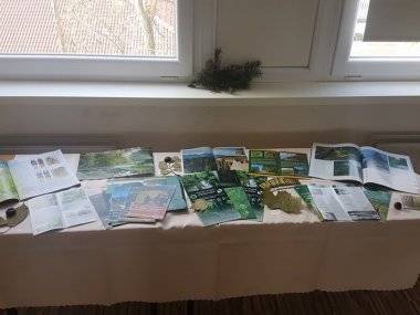 Les ako tvorivá dielňa prírody Les ako tvorivá dielňa prírody