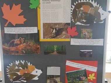 Les ako tvorivá dielňa prírody Les ako tvorivá dielňa prírody