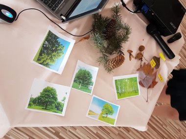 Les ako tvorivá dielňa prírody Les ako tvorivá dielňa prírody