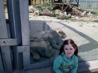 Malkia Park len pár minút od Šamorína sa stále zväčšuje