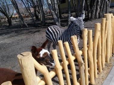 Malkia Park len pár minút od Šamorína sa stále zväčšuje