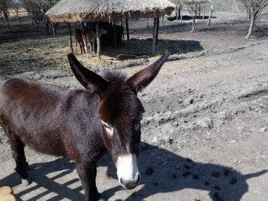 Malkia Park len pár minút od Šamorína sa stále zväčšuje