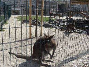 Malkia Park len pár minút od Šamorína sa stále zväčšuje