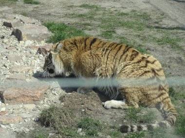 Malkia Park len pár minút od Šamorína sa stále zväčšuje