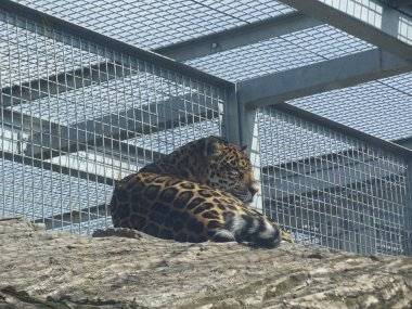 Malkia Park len pár minút od Šamorína sa stále zväčšuje