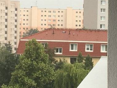 Otvorený list ohľadne premnožených holubov